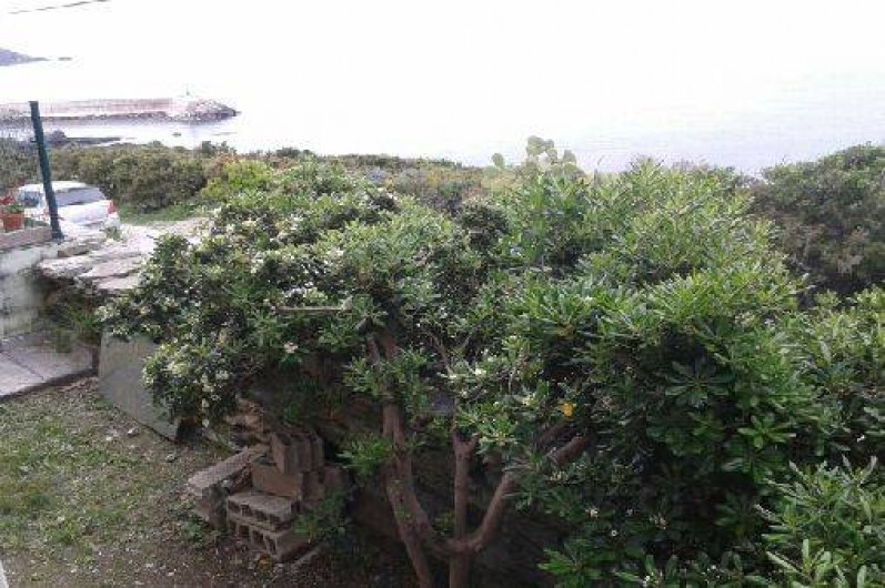 Location de vacances - Appartement à Centuri