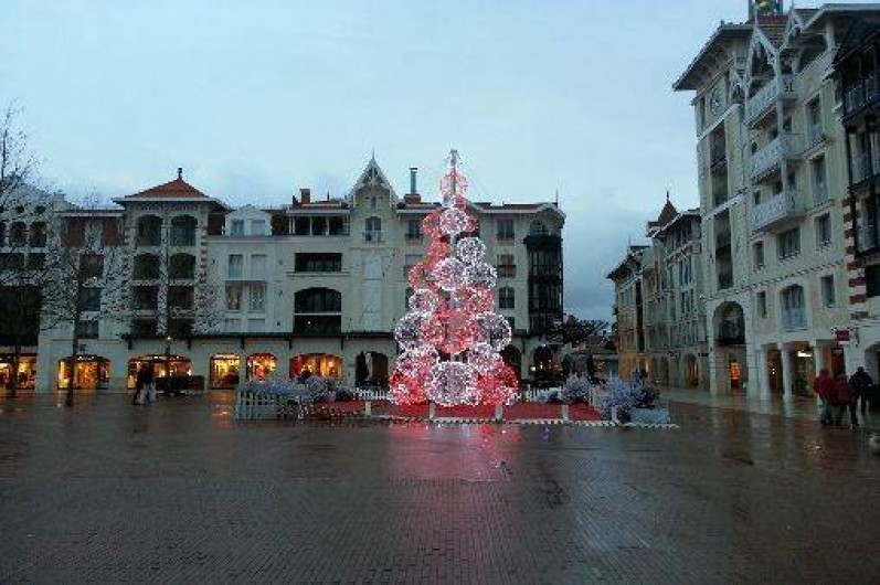 Location de vacances - Appartement à Arcachon