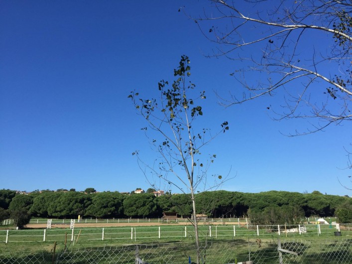 Location de vacances - Bungalow - Mobilhome à Saint-Aygulf