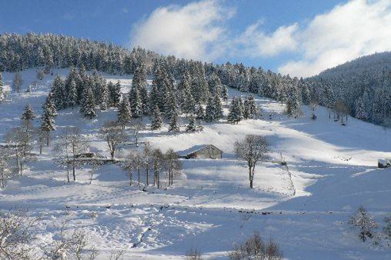 Location de vacances - Studio à La Bresse