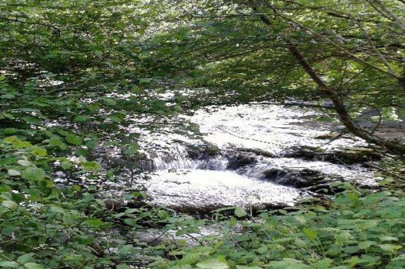 Location de vacances - Gîte à Longchamp-sur-Aujon