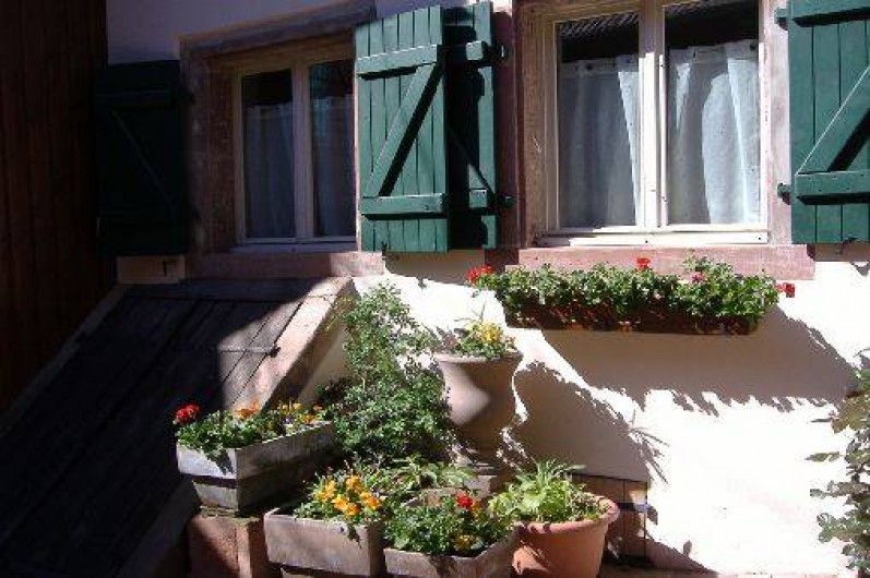 Location de vacances - Studio à Bouxwiller