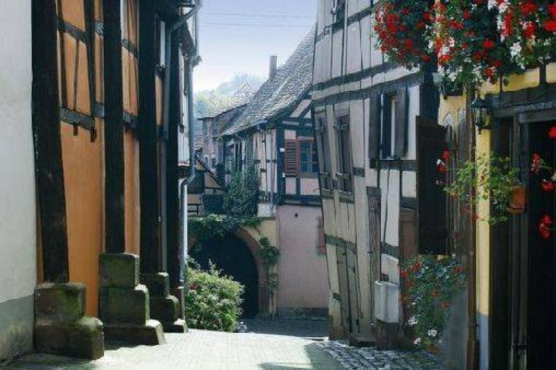 Location de vacances - Studio à Bouxwiller