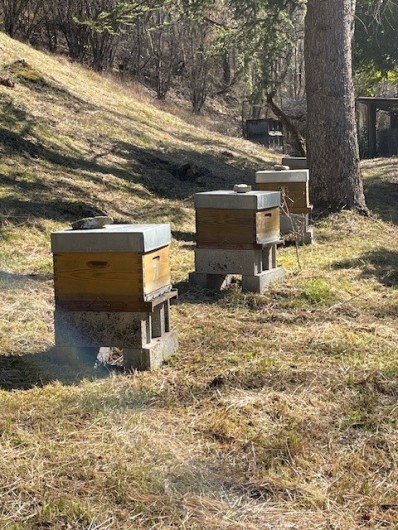 Location de vacances - Gîte à La Rouquette - Les rûches