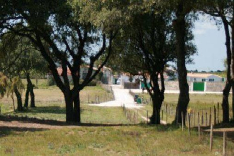 Location de vacances - Gîte à Rivedoux-Plage