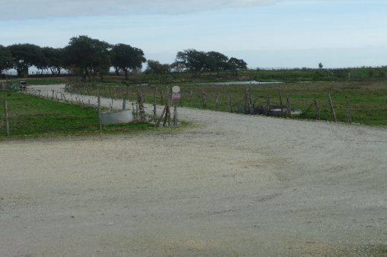 Location de vacances - Gîte à Rivedoux-Plage
