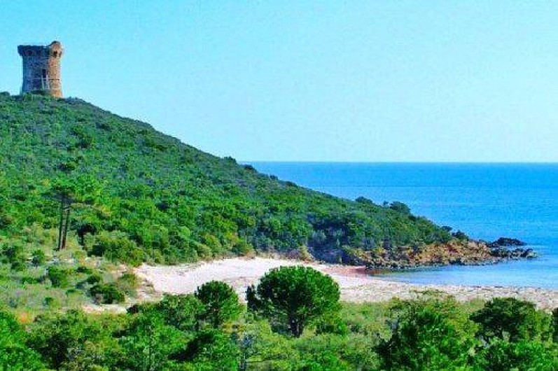 Location de vacances - Villa à Sainte-Lucie de Porto-Vecchio