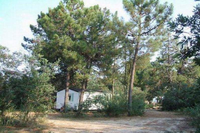 Location de vacances - Bungalow - Mobilhome à Ghisonaccia
