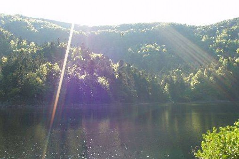 Location de vacances - Gîte à Mittlach
