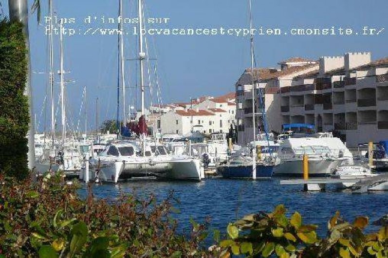 Location de vacances - Maison - Villa à Saint-Cyprien