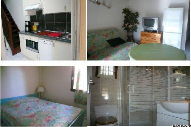 Location de vacances - Maison - Villa à Saint-Cyprien