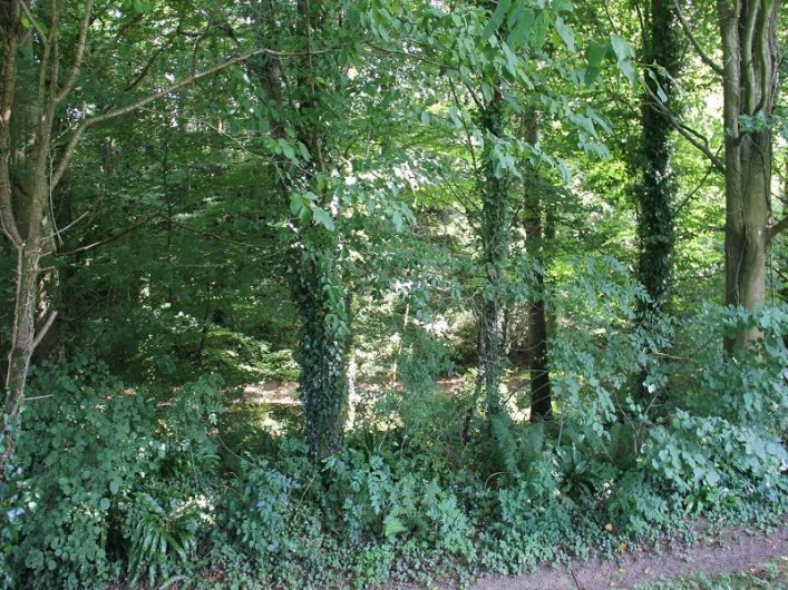 Location de vacances - Gîte à Tourville-sur-Sienne