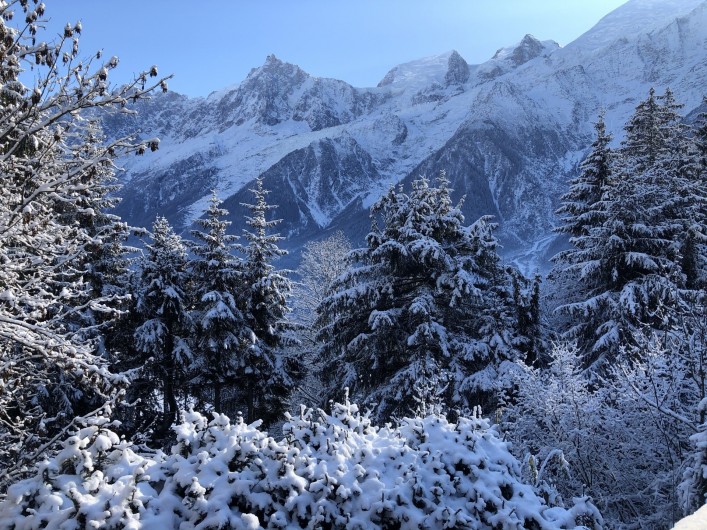 Location de vacances - Chalet à Chamonix-Mont-Blanc - ..ET sa vue !!!!