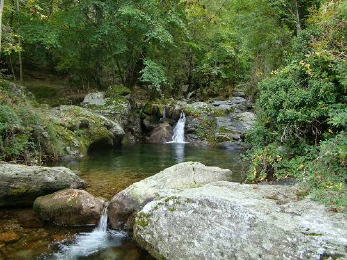 Location de vacances - Gîte à Castanet-le-Haut - Castanet-le-Haut