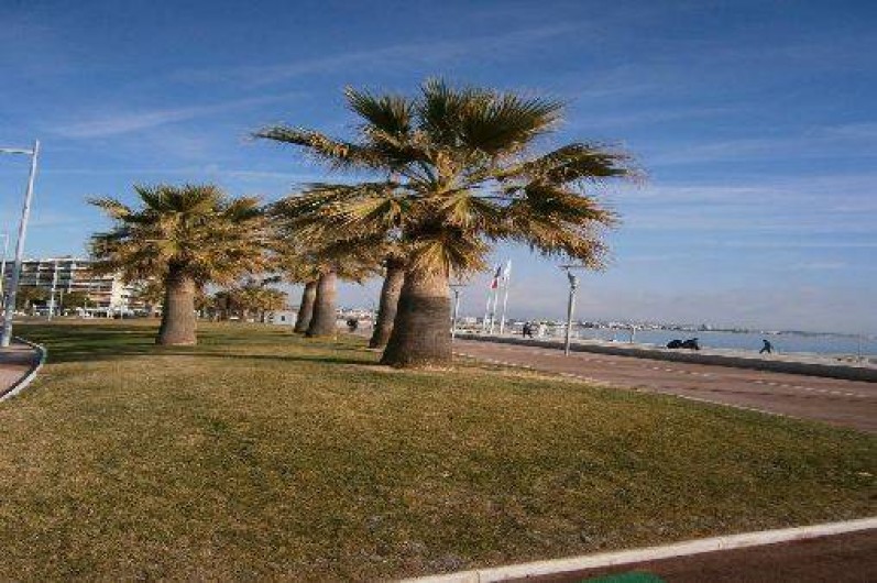 Location de vacances - Studio à Cagnes-sur-Mer