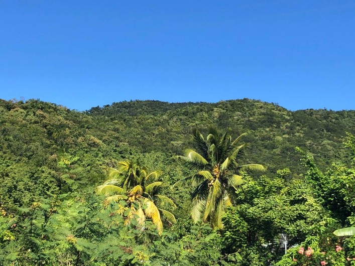 Location de vacances - Villa à Bouillante - VUE MONTAGNE