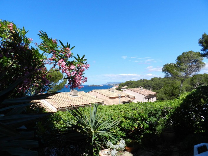 Location de vacances - Maison - Villa à Sanary-sur-Mer