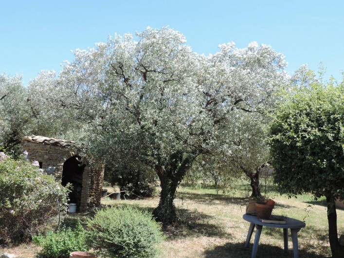 Location de vacances - Villa à Mirabel-aux-Baronnies - Les oliviers