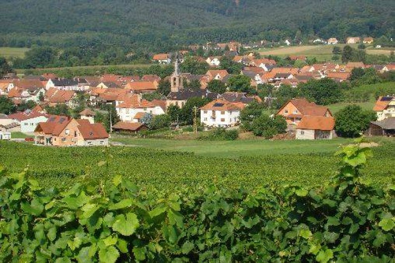 Location de vacances - Chambre d'hôtes à Cleebourg