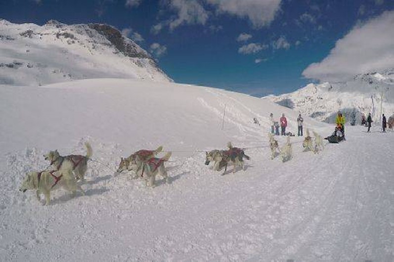 Location de vacances - Appartement à Lanslebourg-Mont-Cenis