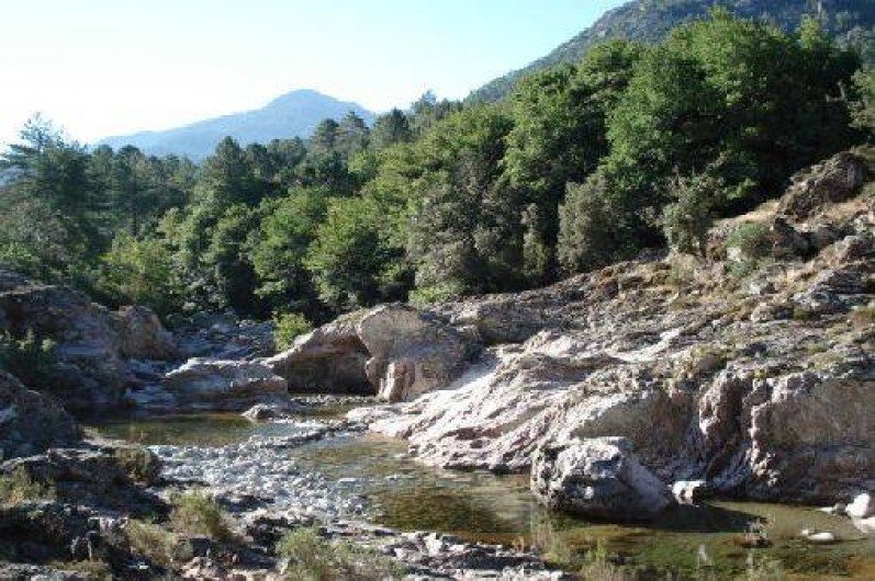 Location de vacances - Appartement à Soccia - une des nombreuses piscines naturelles