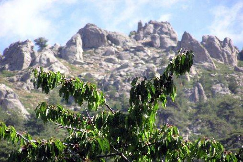 Location de vacances - Appartement à Soccia - aux bergeries de Livru