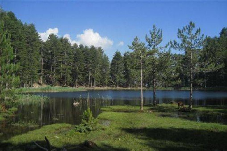 Location de vacances - Appartement à Soccia - lac de Créno