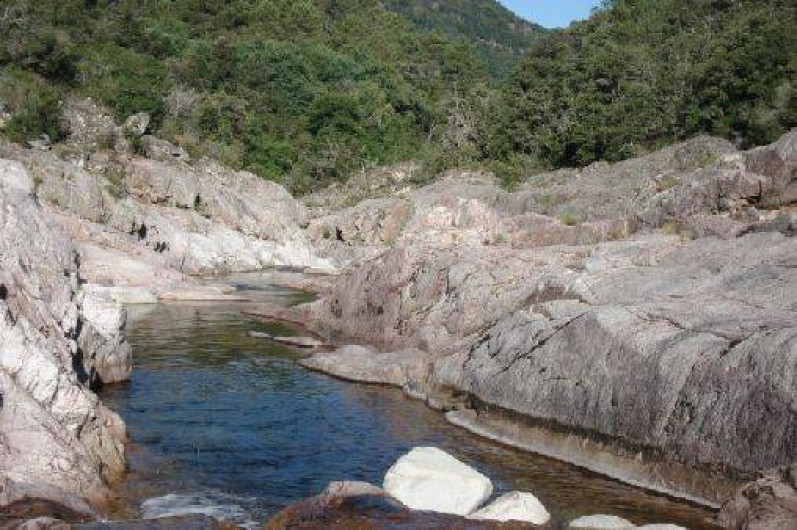 Location de vacances - Appartement à Soccia - encore une piscine...