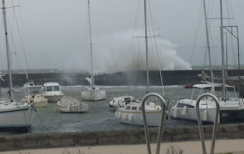 Location de vacances - Villa à Sarzeau - Tempête sur le port