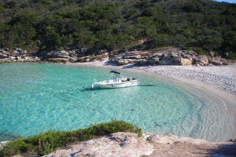 Location de vacances - Villa à Saint-Florent
