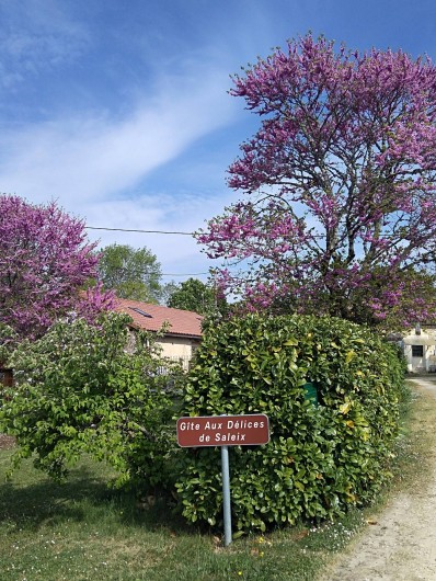 Location de vacances - Gîte à Sorges et Ligueux en Périgord - jardin