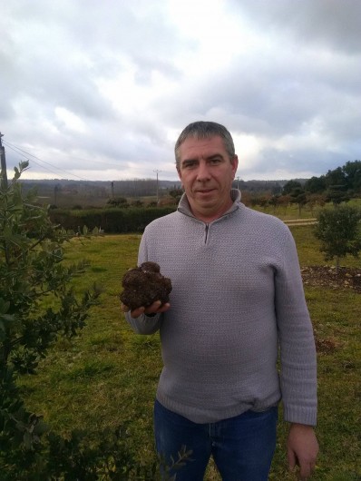 Location de vacances - Gîte à Sorges et Ligueux en Périgord - nos truffes