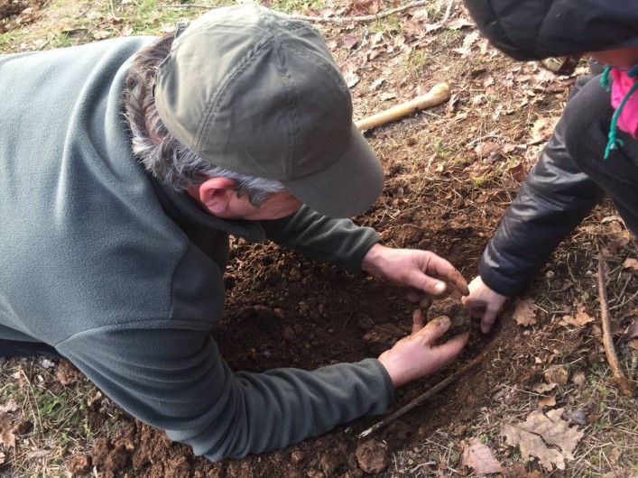 Location de vacances - Gîte à Sorges et Ligueux en Périgord - Récolte 2019/2020
