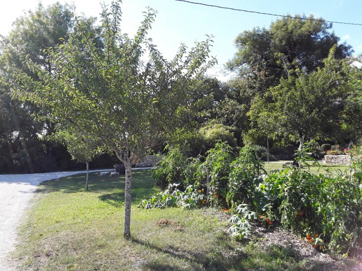 Location de vacances - Gîte à Sorges et Ligueux en Périgord - jardin