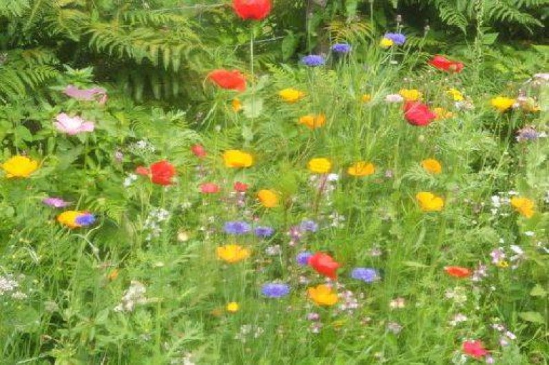 Location de vacances - Gîte à Landébia