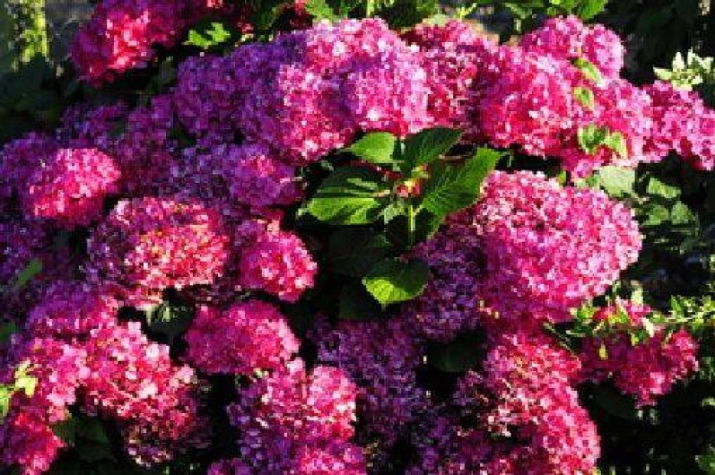 Location de vacances - Gîte à Landébia