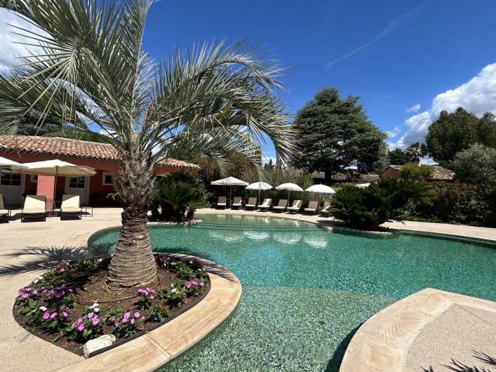 Location de vacances - Villa à Carros - Magnifique piscine-lagon