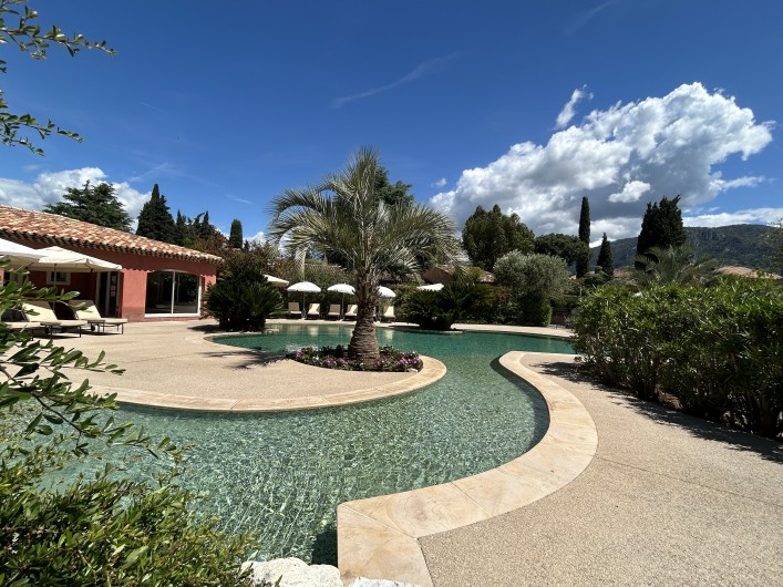 Location de vacances - Villa à Carros - Magnifique piscine-lagon