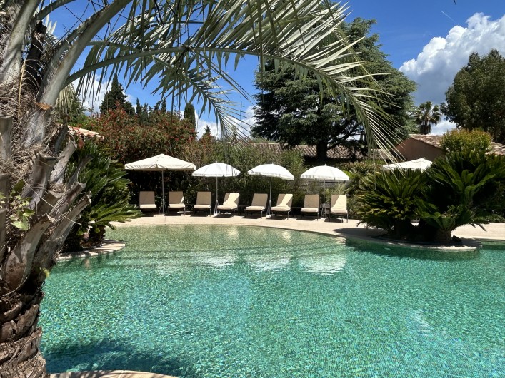 Location de vacances - Villa à Carros - Piscine-lagon avec plage en pente douce idéal pour les enfants