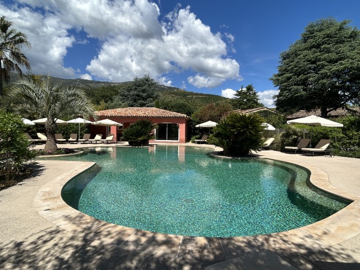 Location de vacances - Villa à Carros - Magnifique piscine-lagon