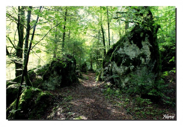 Location de vacances - Chalet à Goumois