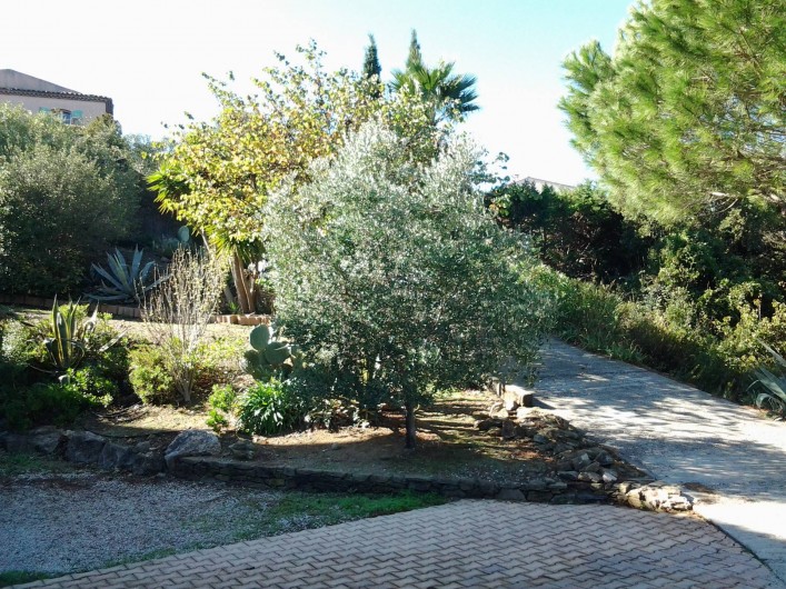 Location de vacances - Villa à Sainte-Maxime - Jardin à l’arrière de la villa.
