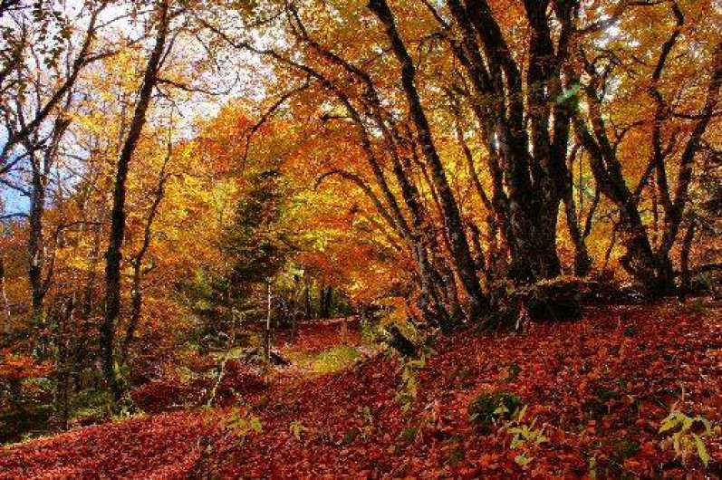 Location de vacances - Hôtel - Auberge à La Bourboule