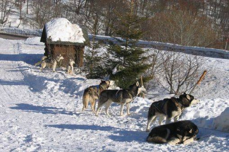 Location de vacances - Hôtel - Auberge à La Bourboule