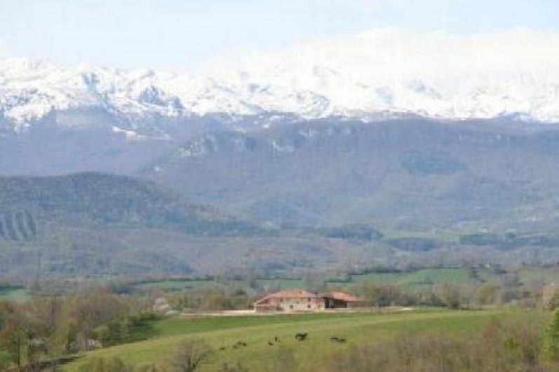 Location de vacances - Maison - Villa à Lescure