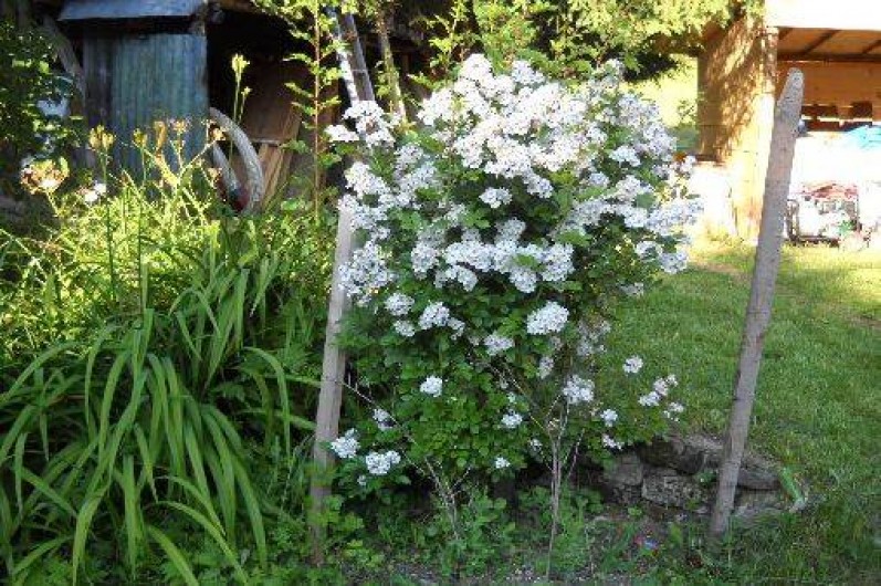 Location de vacances - Chalet à Mont-Saxonnex