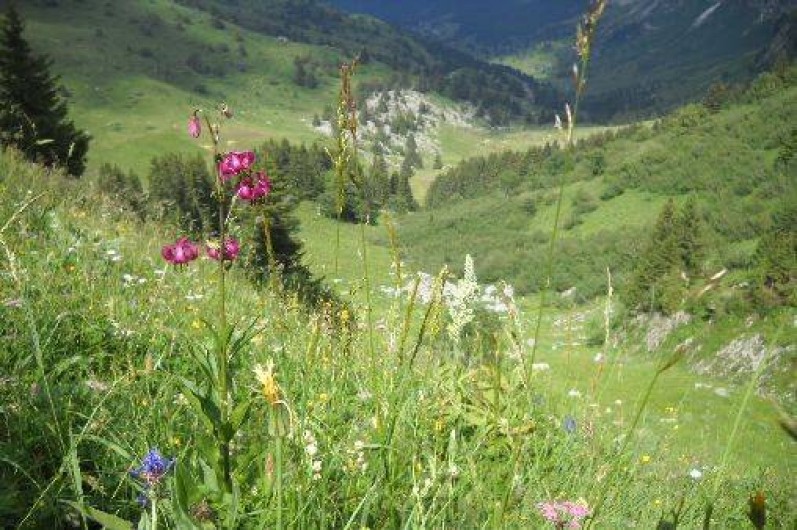 Location de vacances - Chalet à Mont-Saxonnex