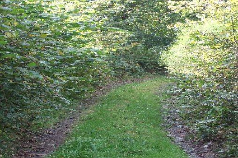 Location de vacances - Gîte à Saint-Cyr-du-Bailleul