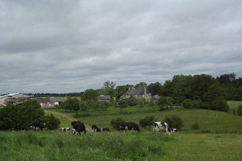 Location de vacances - Gîte à Saint-Cyr-du-Bailleul