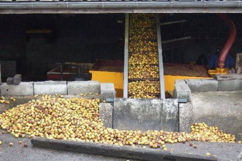 Location de vacances - Gîte à Saint-Cyr-du-Bailleul